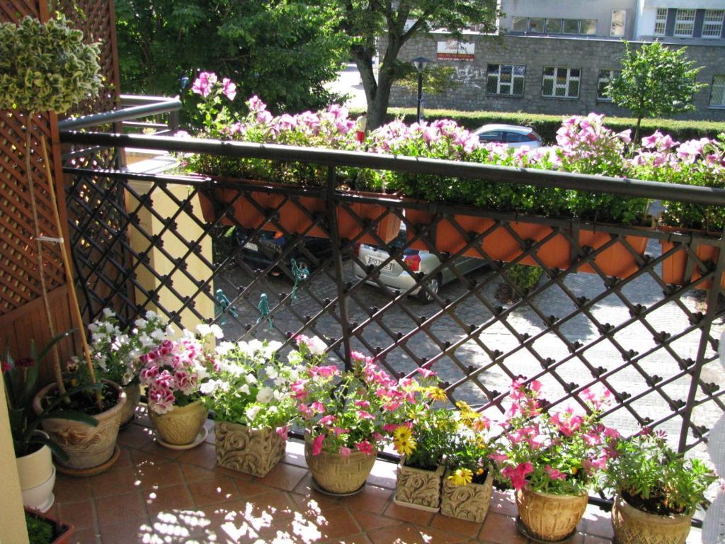 Patio Mare Amber Lägenhet Sopot Exteriör bild